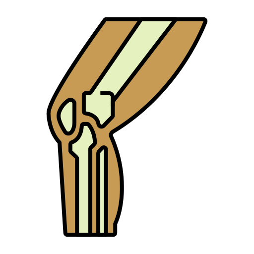 Bones free icon