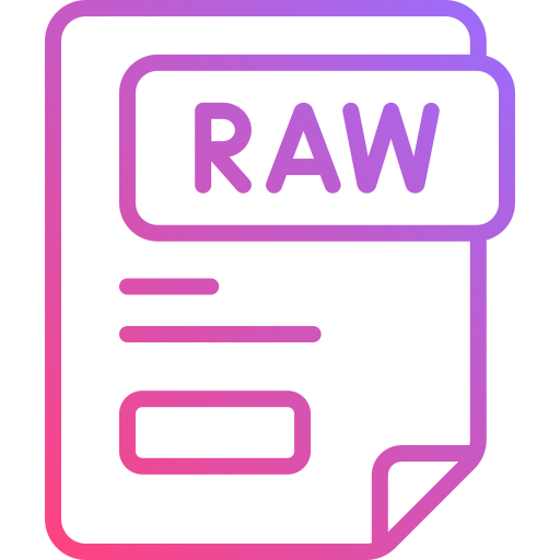 archivo raw icono gratis