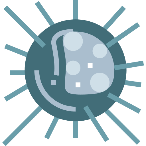 Морской еж бесплатно иконка