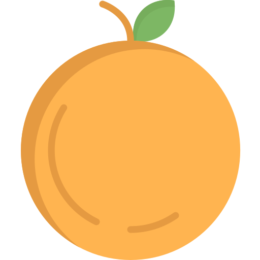 orange Icône gratuit orange Icône gratuit