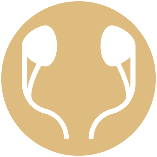 música icono gratis