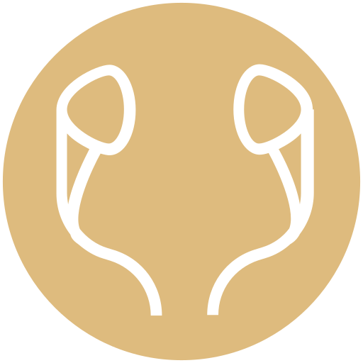 música icono gratis