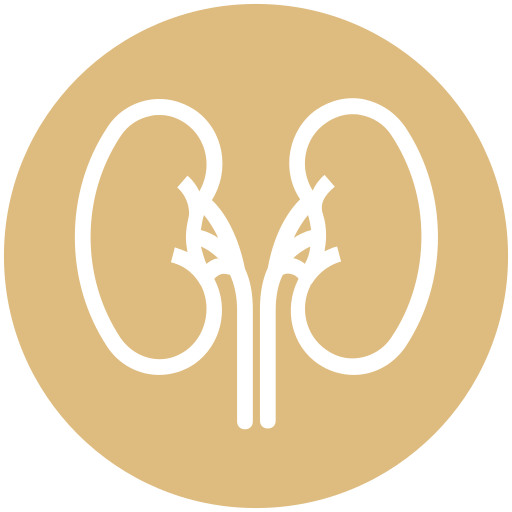 médico icono gratis