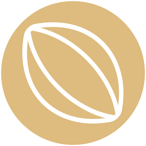 rugby kostenlos Icon