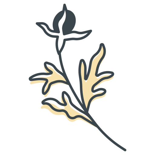 semilla icono gratis