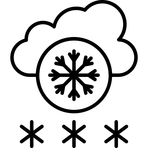 Snow free icon