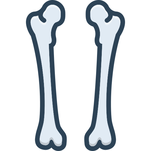 physiologie kostenlos Icon physiologie kostenlos Icon