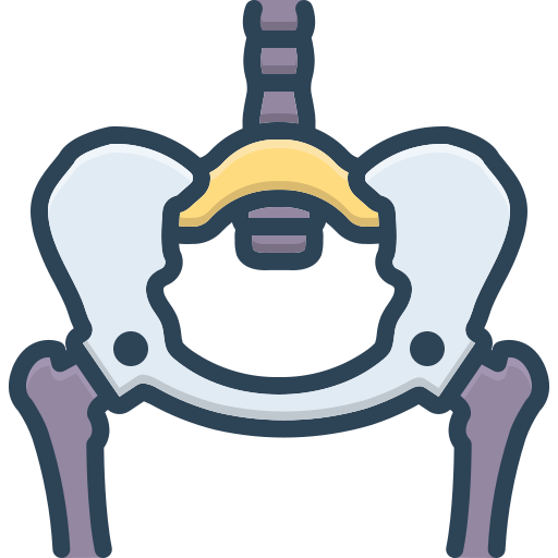 pelvis icono gratis