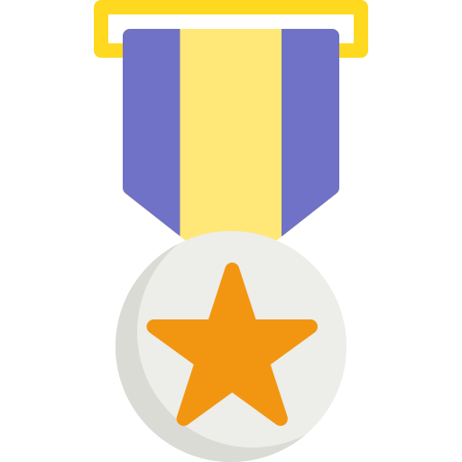 Medal Special Flat icon