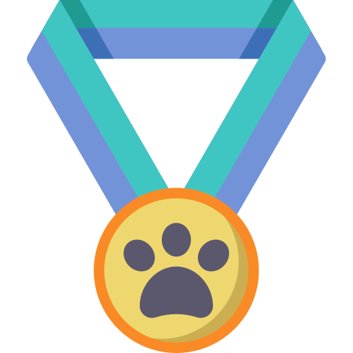 Medal Special Flat icon