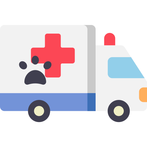 Ambulancia icono gratis