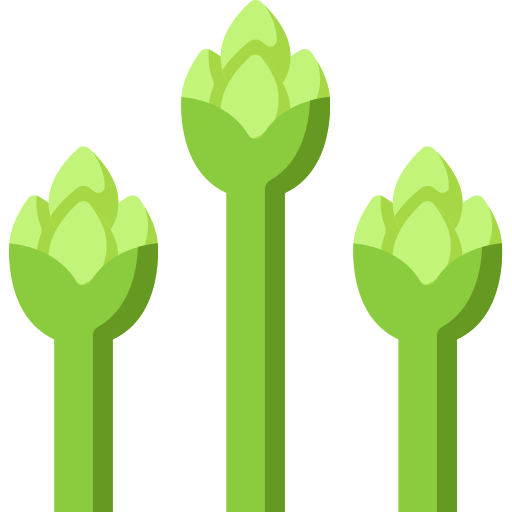 Asparagus Special Flat icon