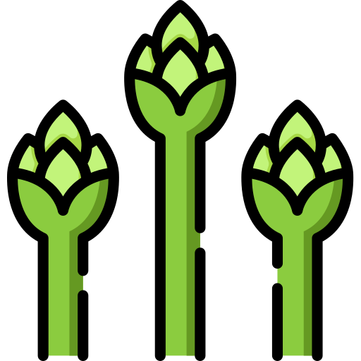 Asparagus Special Lineal color icon