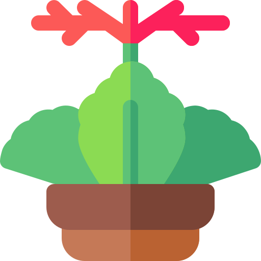 Kalanchoe icono gratis