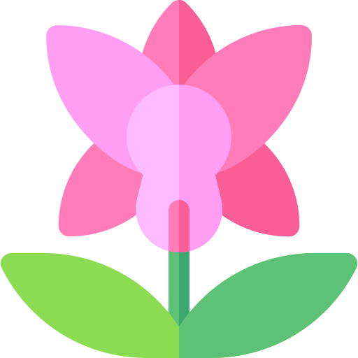 Orquídea grátis ícone Orquídea grátis ícone
