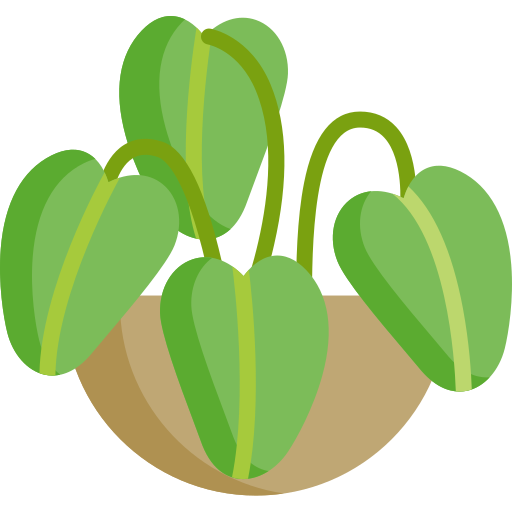 Planta icono gratis