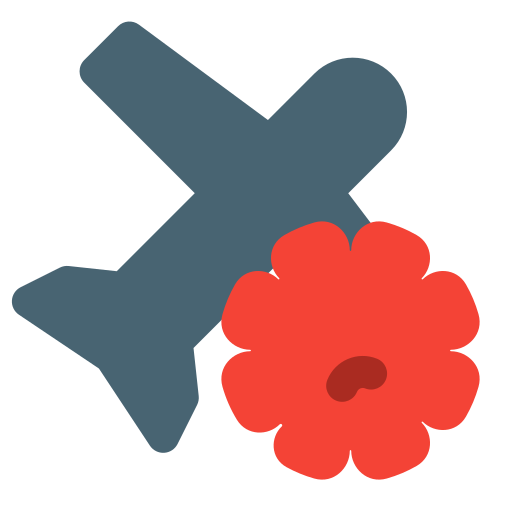 flugzeug kostenlos Icon