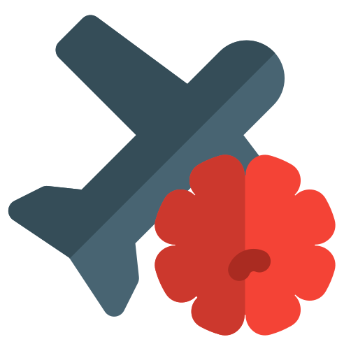 avion Icône gratuit