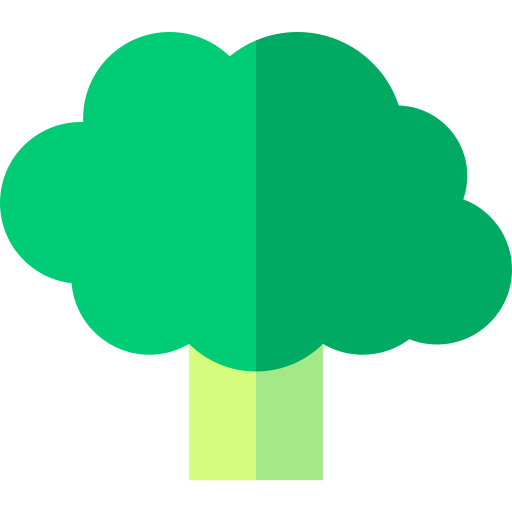 Broccoli Basic Straight Flat icon