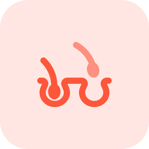 cabelo grátis ícone