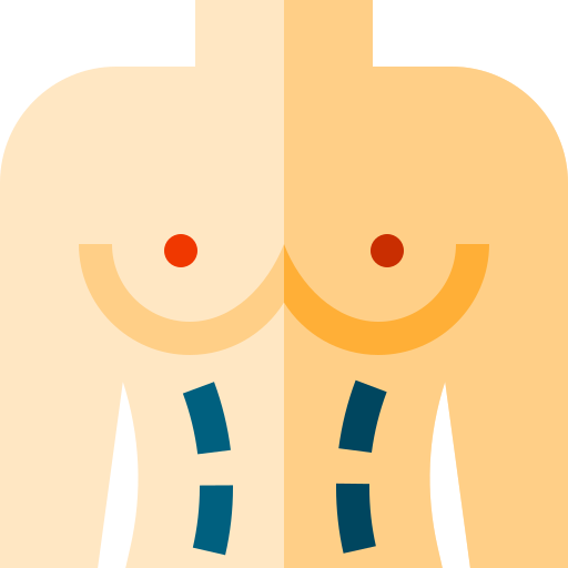 torse Icône gratuit torse Icône gratuit