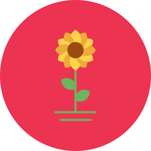 Sunflower free icon Sunflower free icon
