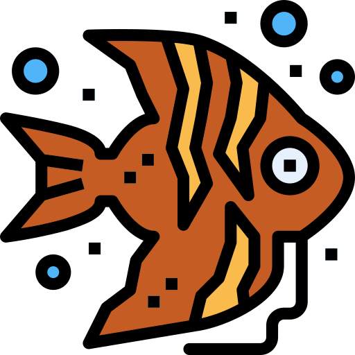 Angelfish free icon Angelfish free icon