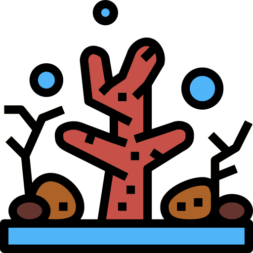 Coral free icon Coral free icon