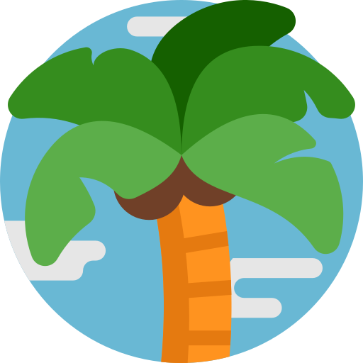 Palmera icono gratis