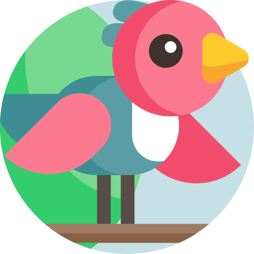 Pájaro icono gratis