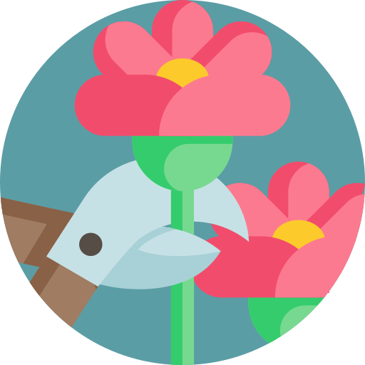 Flor icono gratis