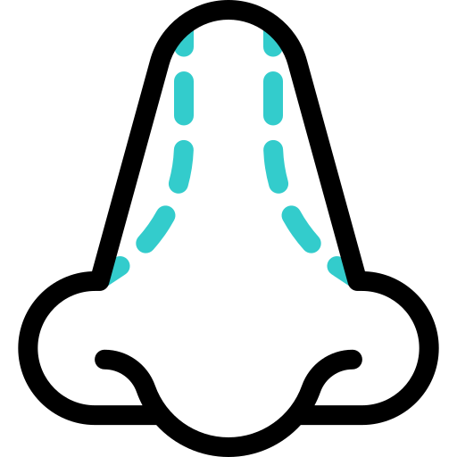 nasenkorrektur kostenlos Icon nasenkorrektur kostenlos Icon