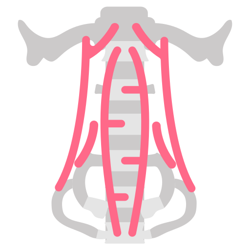 estructura icono gratis