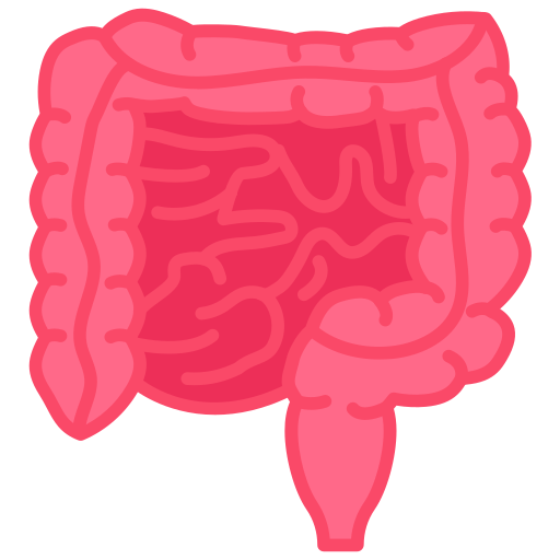 intestino icono gratis