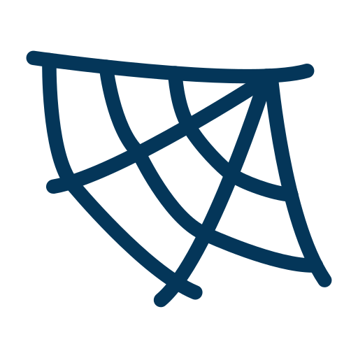 Spider web free icon