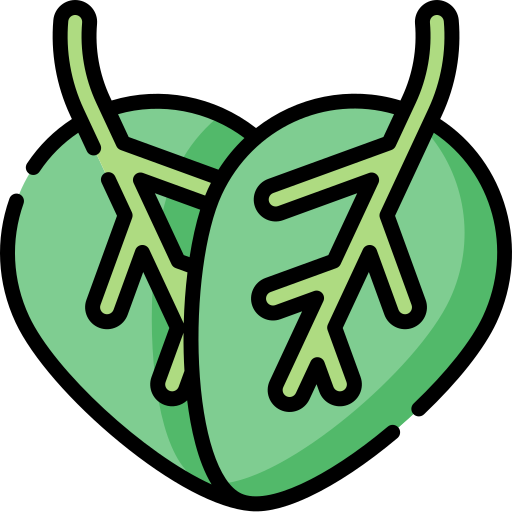 Vegetariano icono gratis