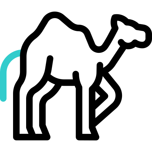 Дромадеры бесплатно иконка