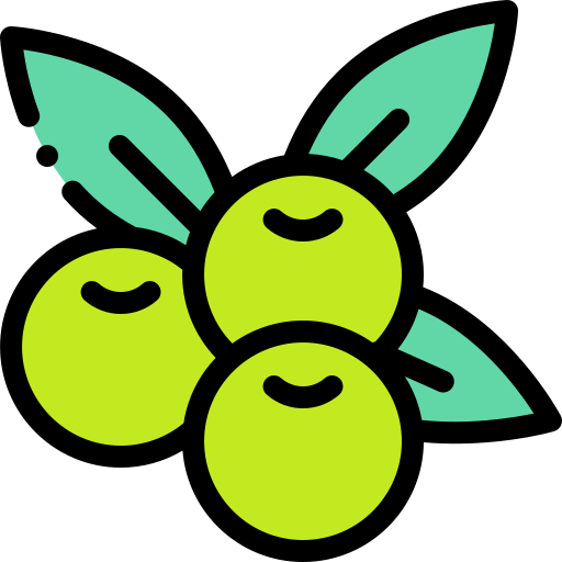 Aceitunas icono gratis