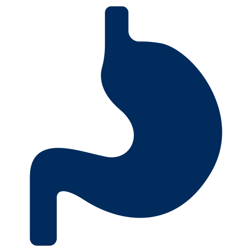 estómago icono gratis