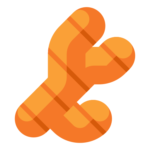 gingembre Icône gratuit gingembre Icône gratuit