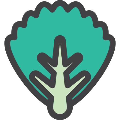 lechuga icono gratis