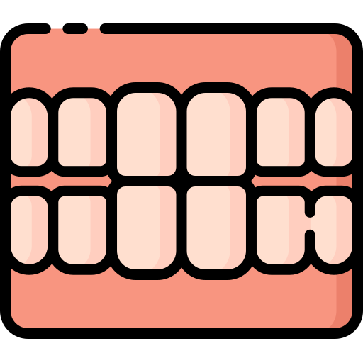 Mold Special Lineal color icon