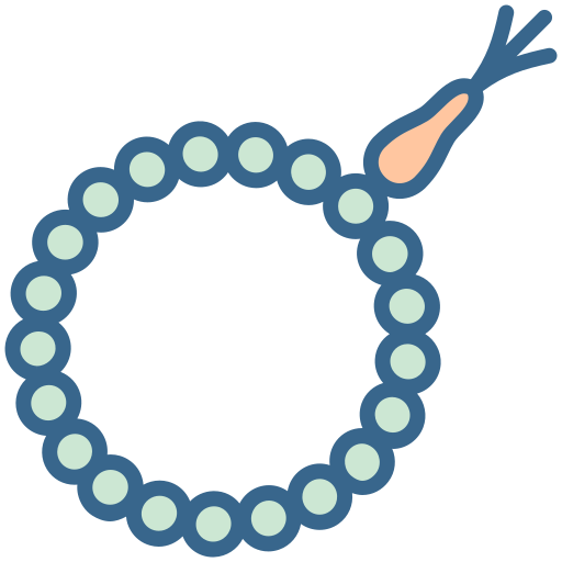 tasbih Icône gratuit tasbih Icône gratuit