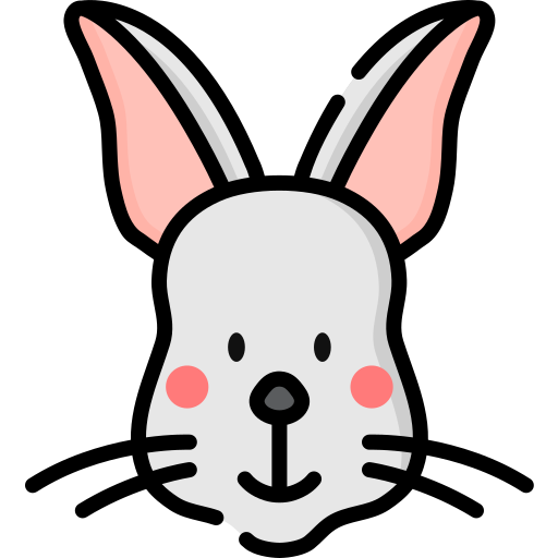 Rabbit Special Lineal color icon