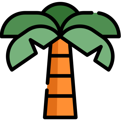 Palmera icono gratis