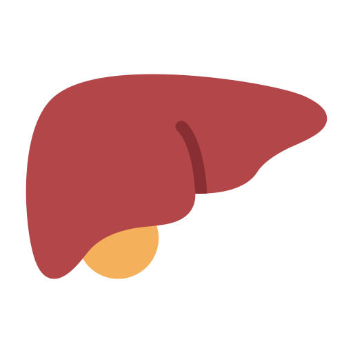 Liver free icon