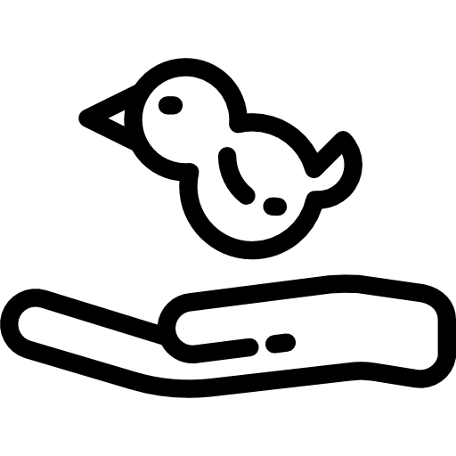 Bird free icon