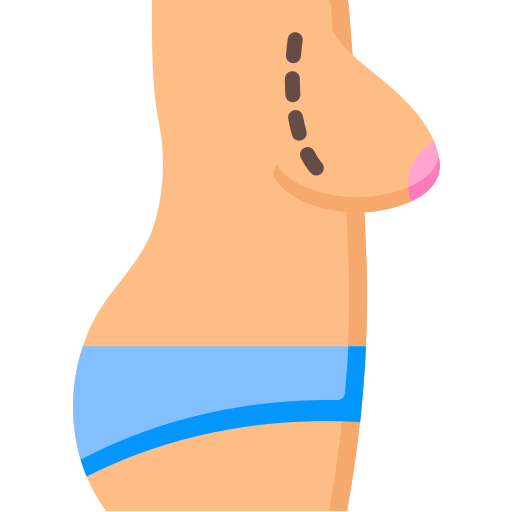 Anatomia grátis ícone Anatomia grátis ícone