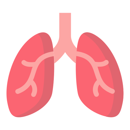 pulmones icono gratis