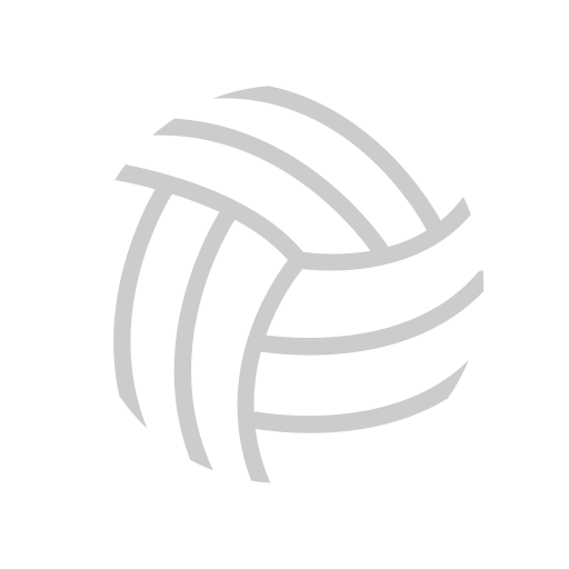 vóleibol icono gratis